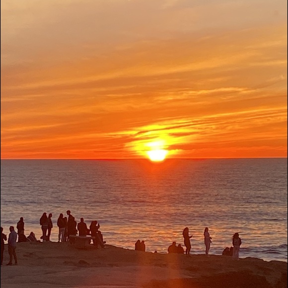 Meet your Posher, Cami - Picture 1 of 1